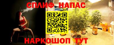 стафф Тара
